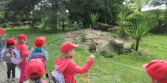 Berušky výlet zoo