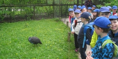 Výlet ZOO Myšky