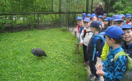 Výlet ZOO Myšky